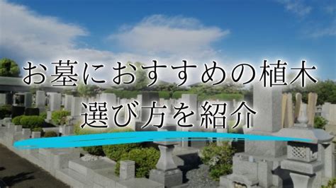 墓 植物|お墓の樹木選びのポイントと注意点｜墓地を美しく彩るために必 